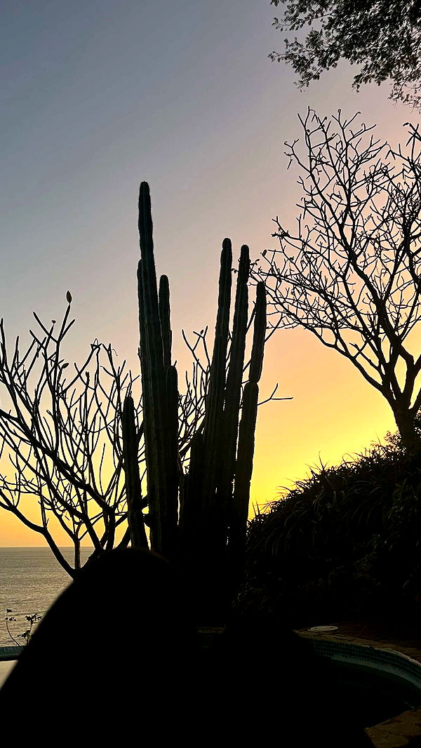 alisonbowles image ~ Altpins