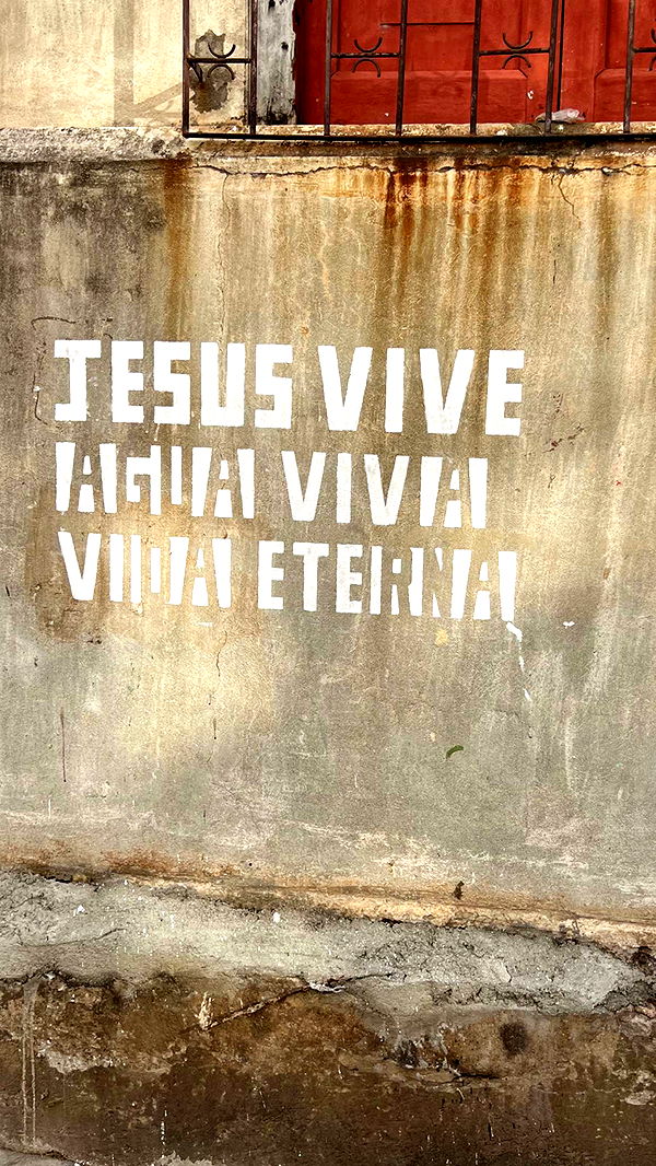 alisonbowles image ~ Altpins