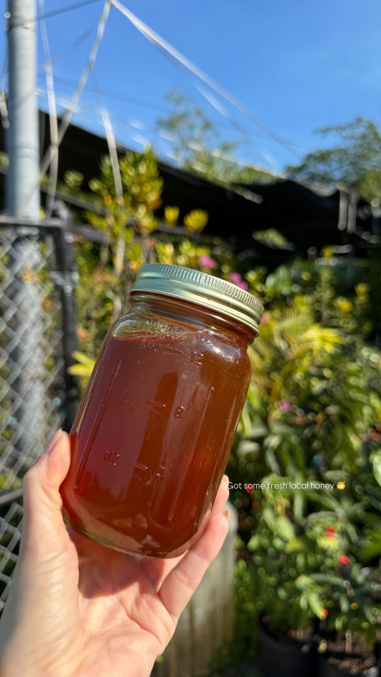 alisonbowles snapchat image archive image