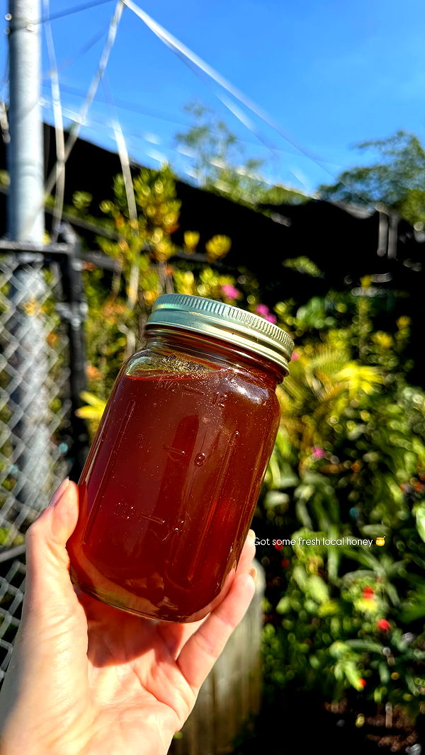 alisonbowles image ~ Altpins