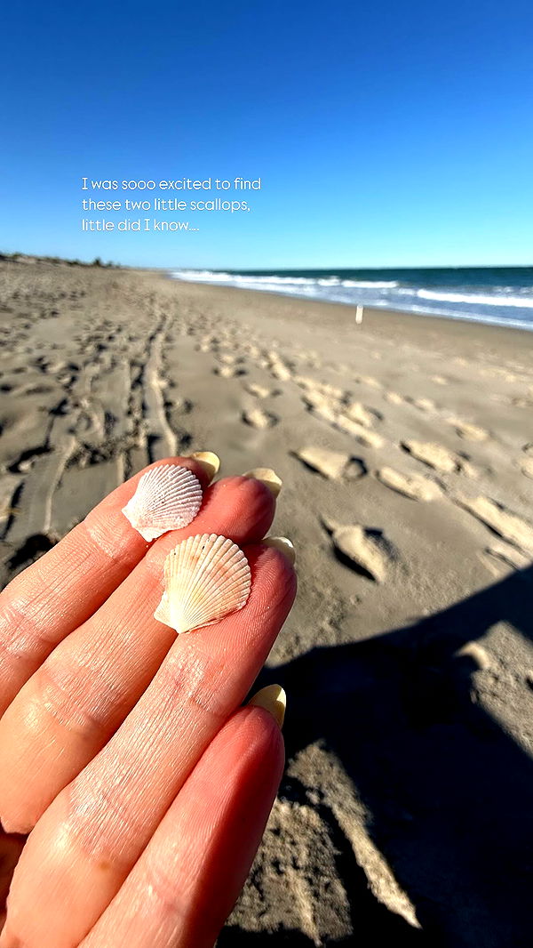 alisonbowles image ~ Altpins