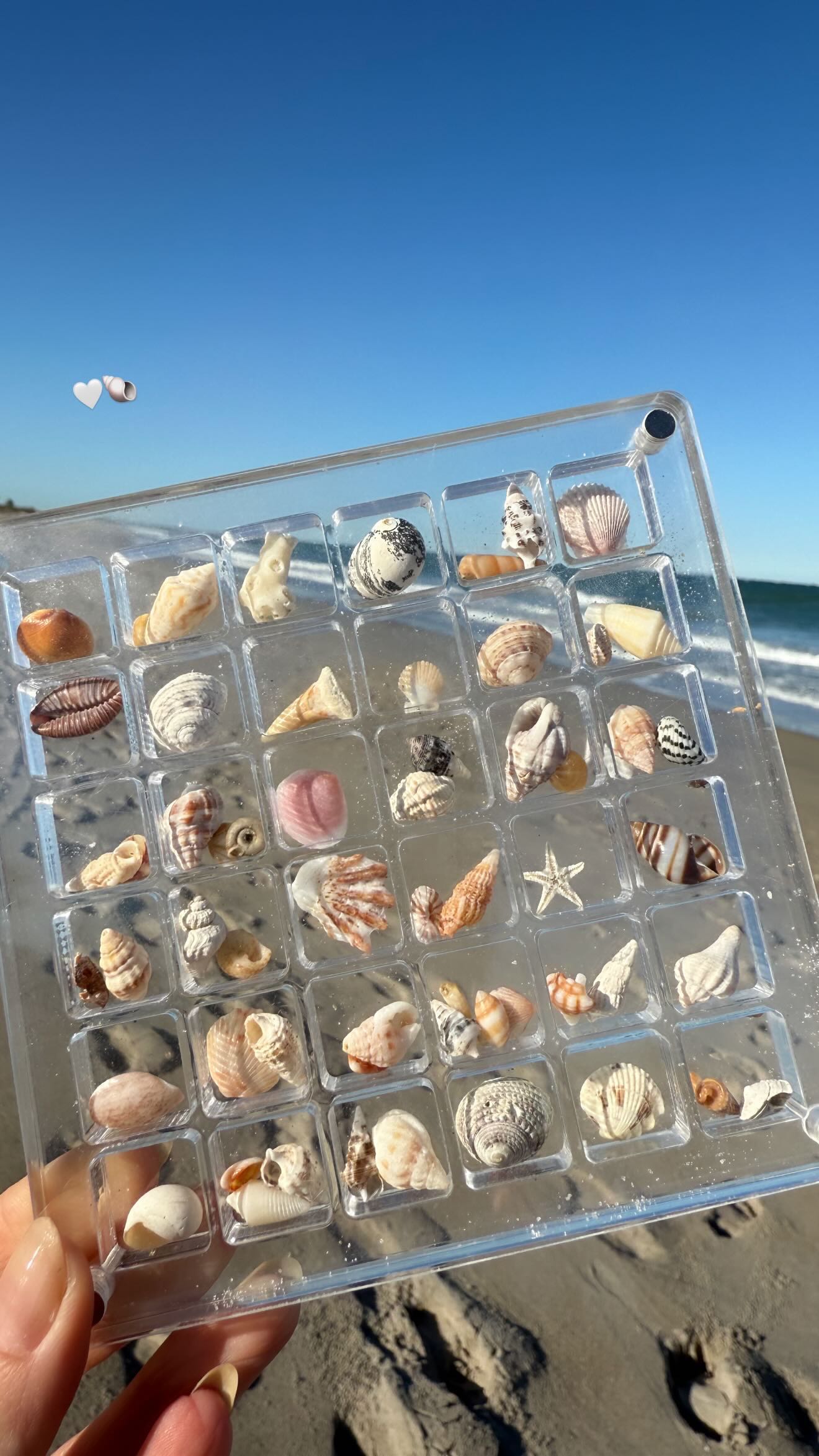 alisonbowles snapchat image archive image