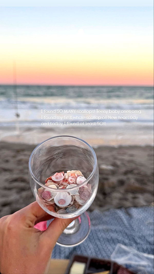 alisonbowles image ~ Altpins