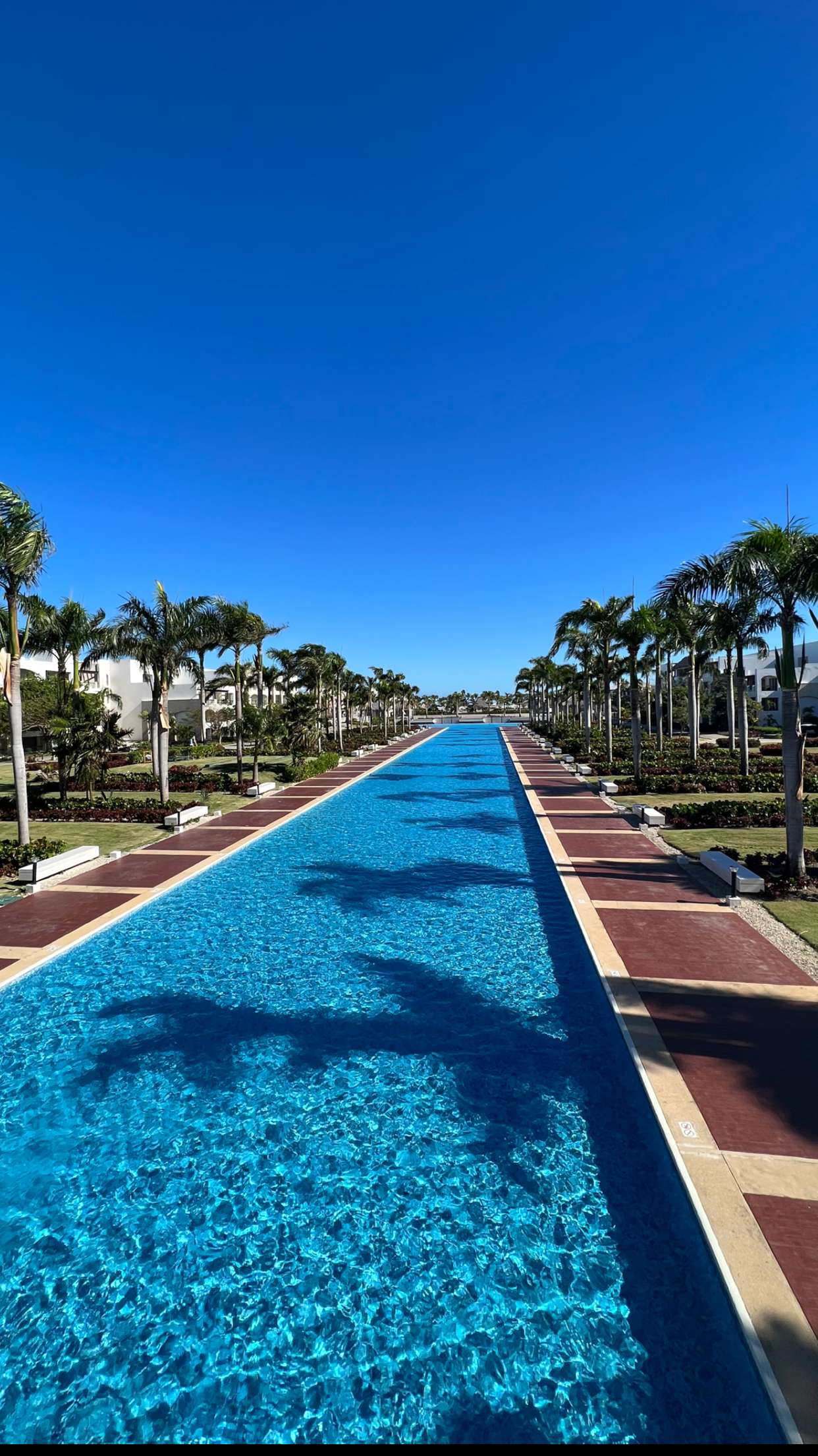 alisonbowles snapchat image archive image