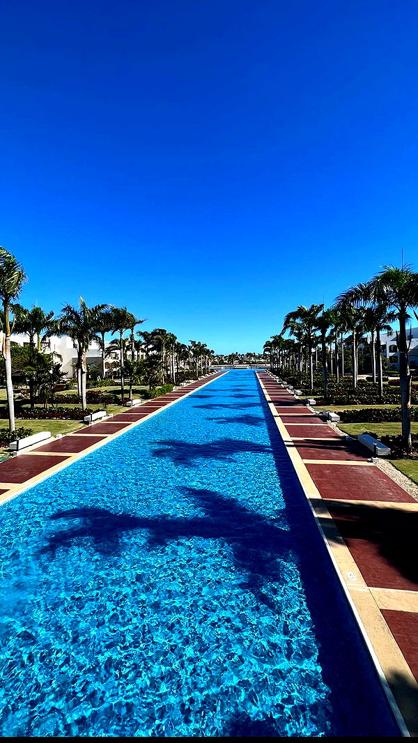 alisonbowles image ~ Altpins