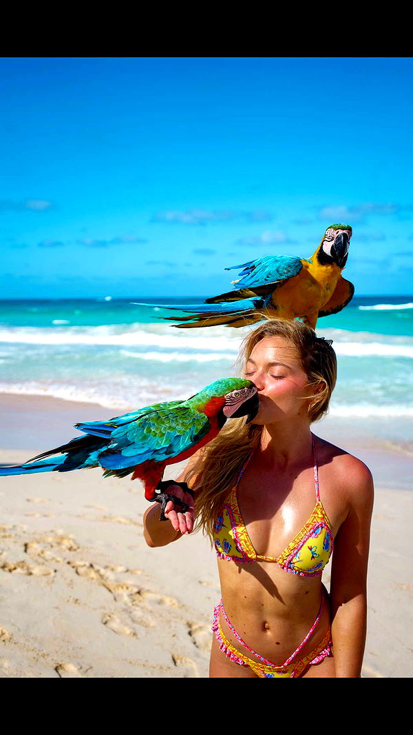 alisonbowles image ~ Altpins