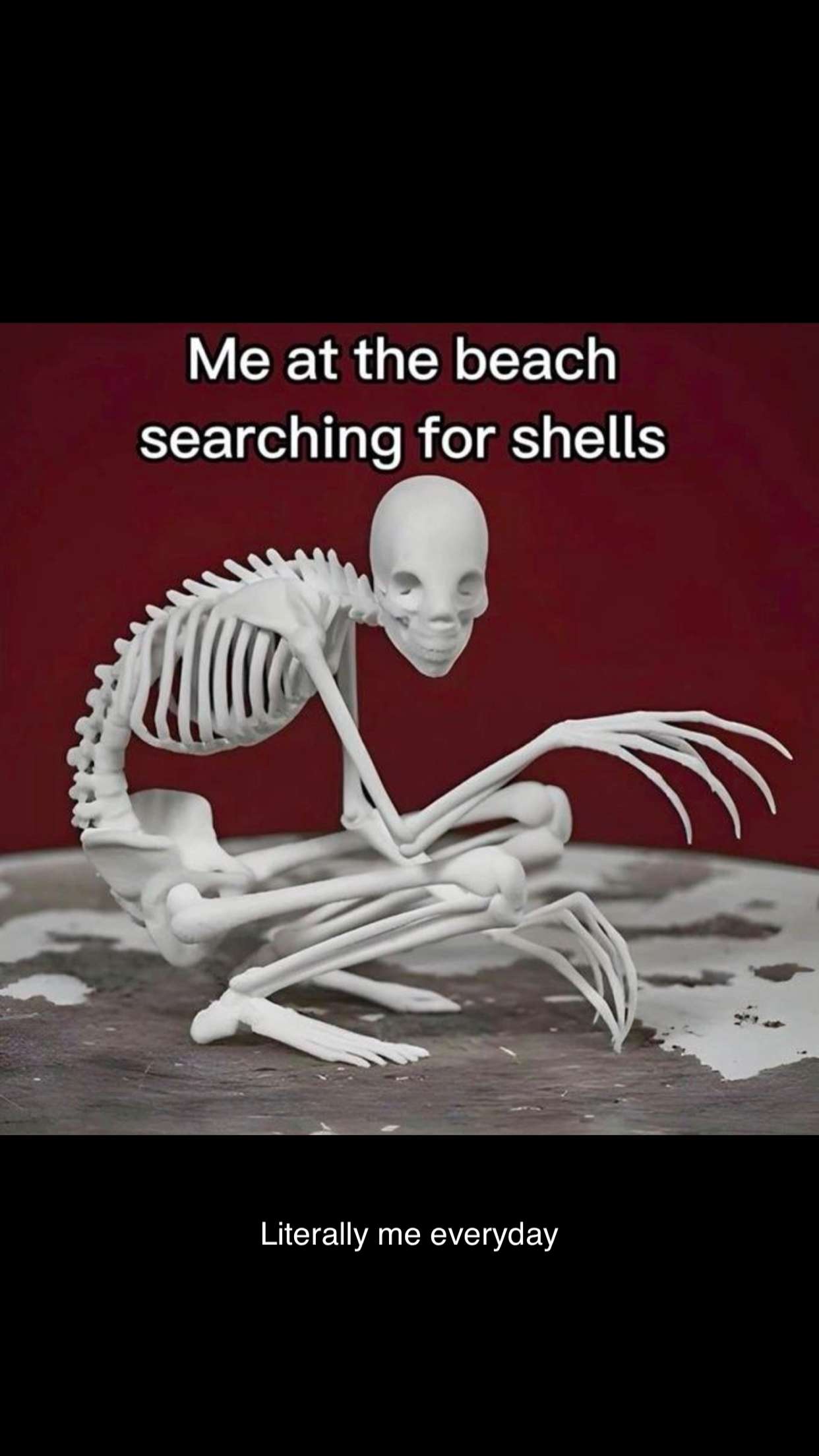 alisonbowles snapchat image archive image