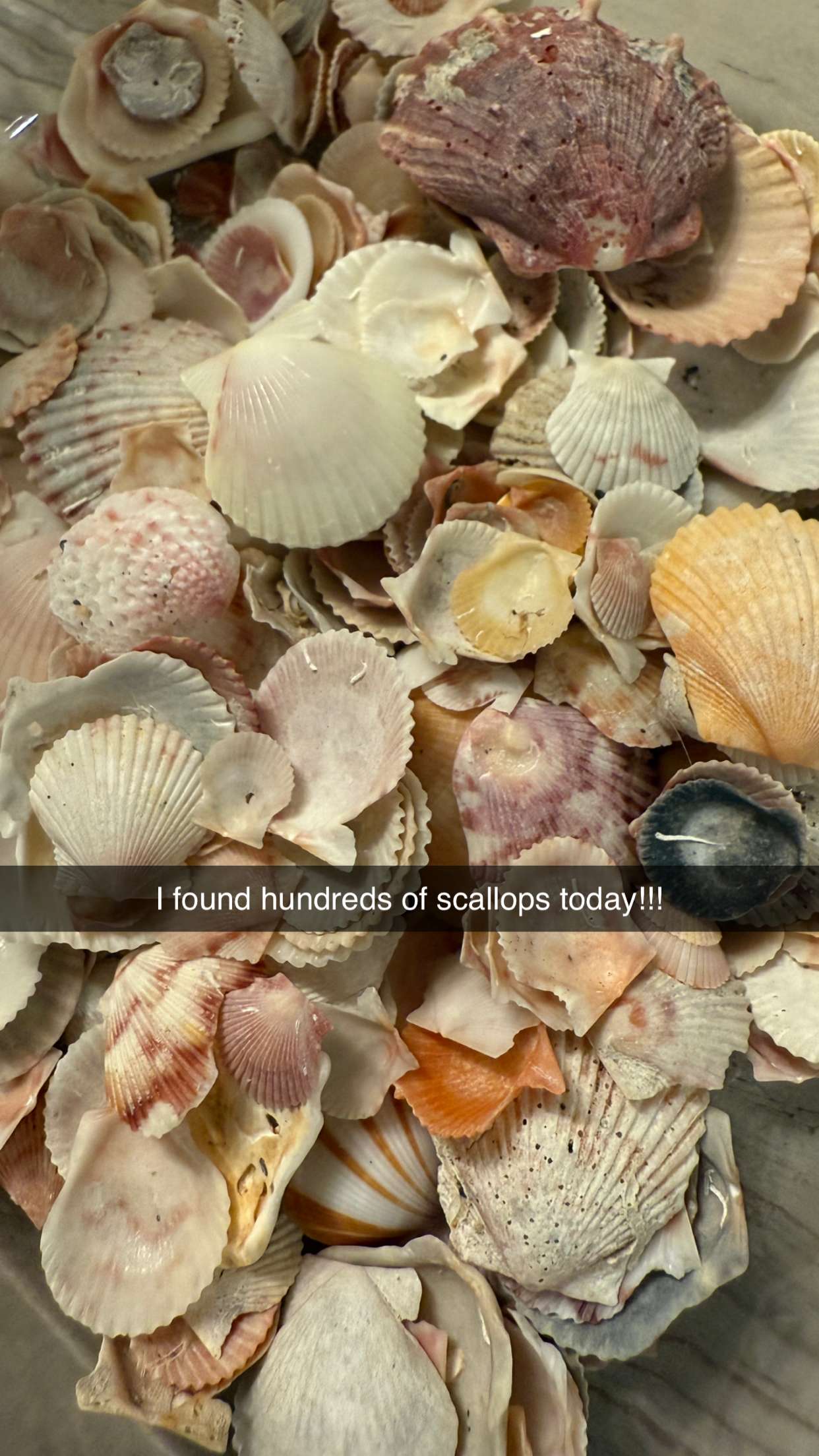 alisonbowles snapchat image archive image