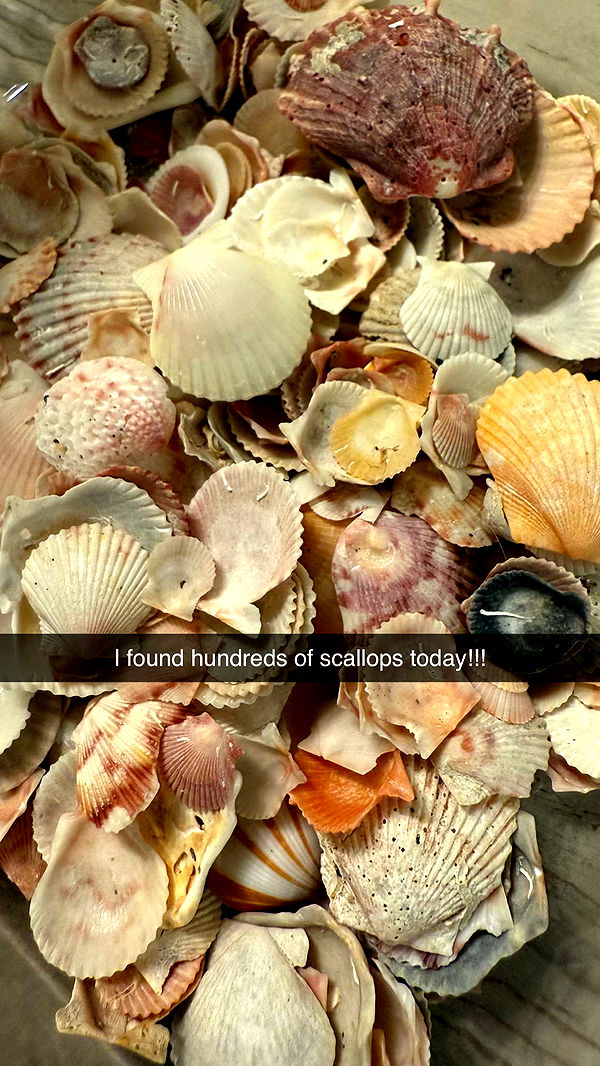 alisonbowles image ~ Altpins