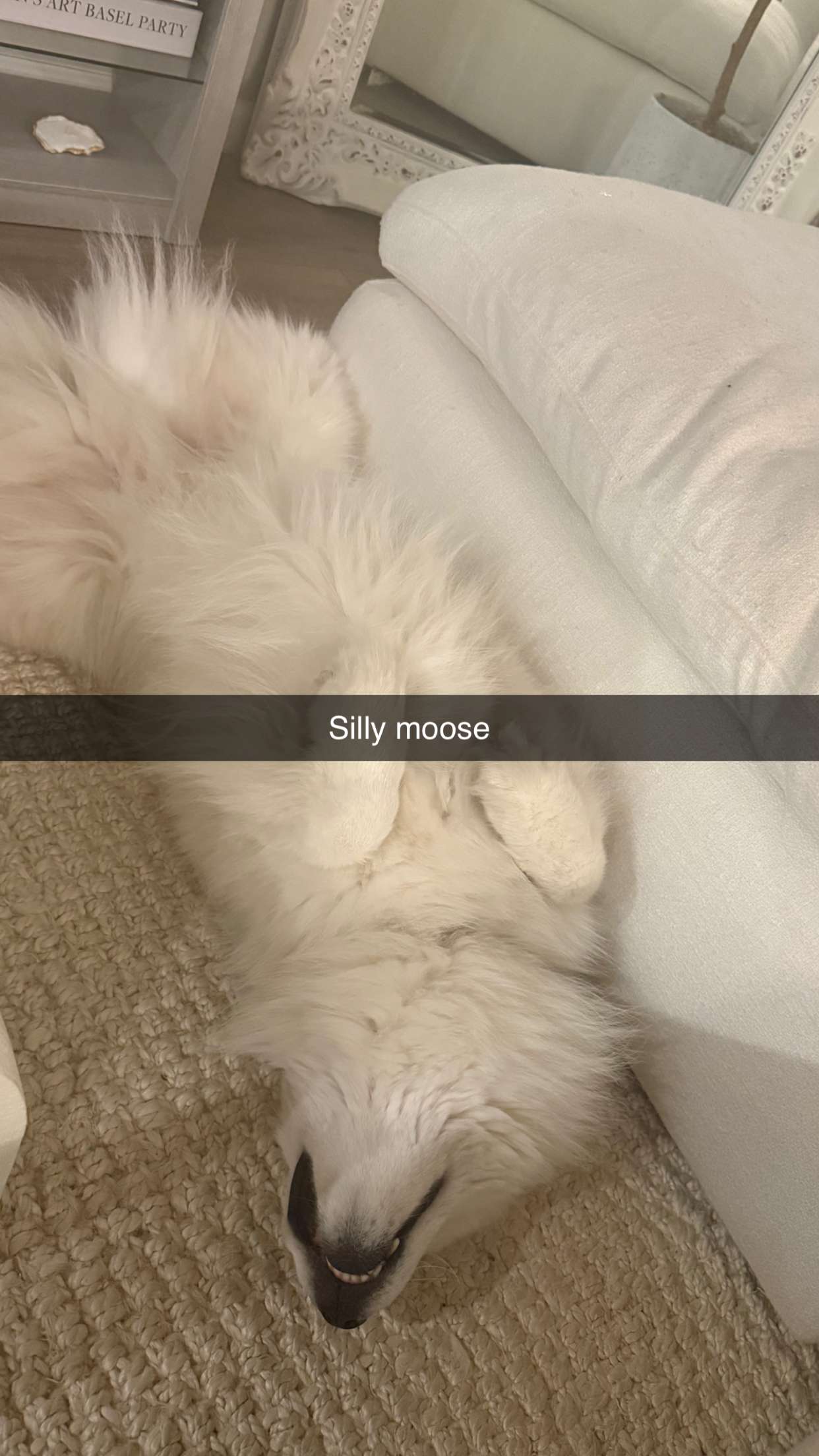 alisonbowles snapchat image archive image