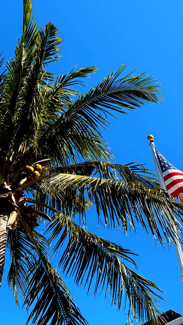 alisonbowles image ~ Altpins