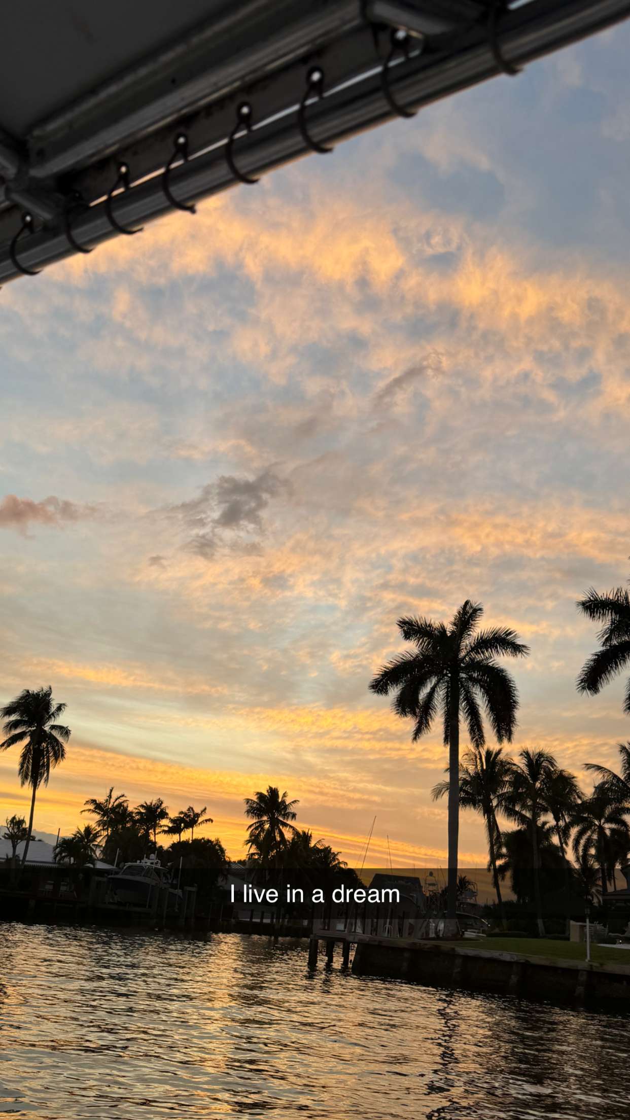 alisonbowles snapchat image archive image