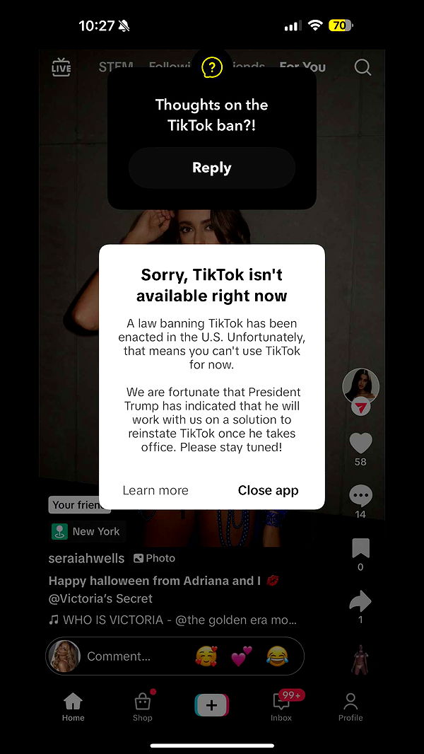 alisonbowles image ~ Altpins