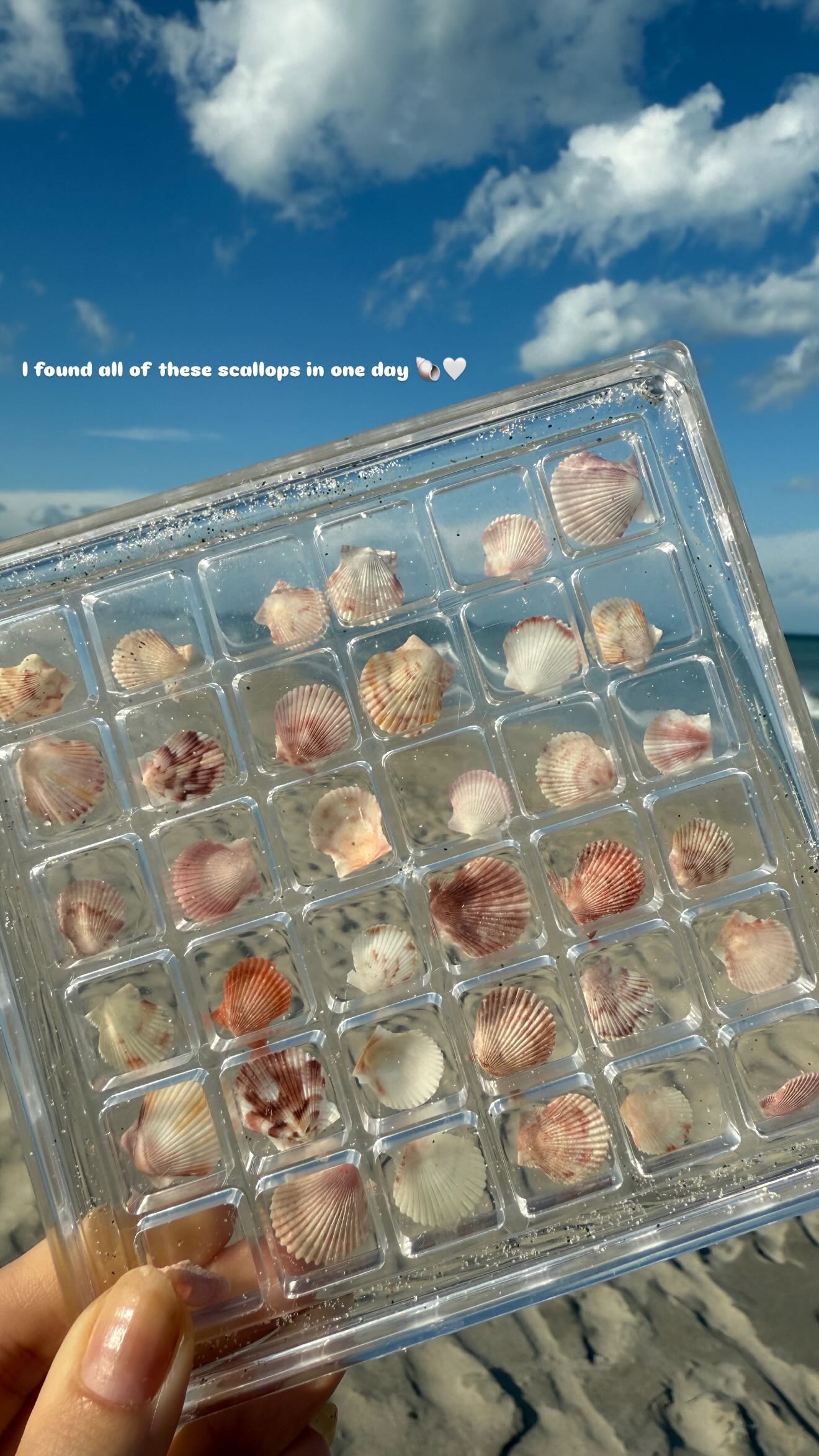 alisonbowles snapchat image archive image