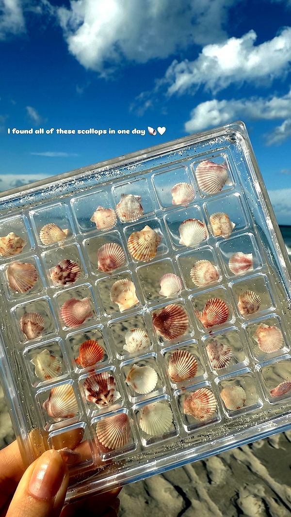 alisonbowles image ~ Altpins