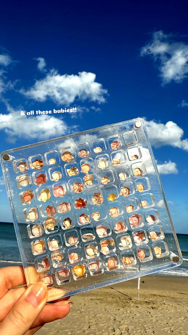 alisonbowles image ~ Altpins