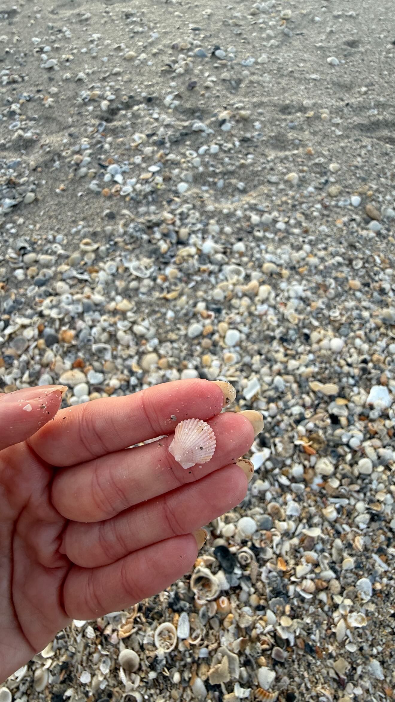 alisonbowles snapchat image archive image