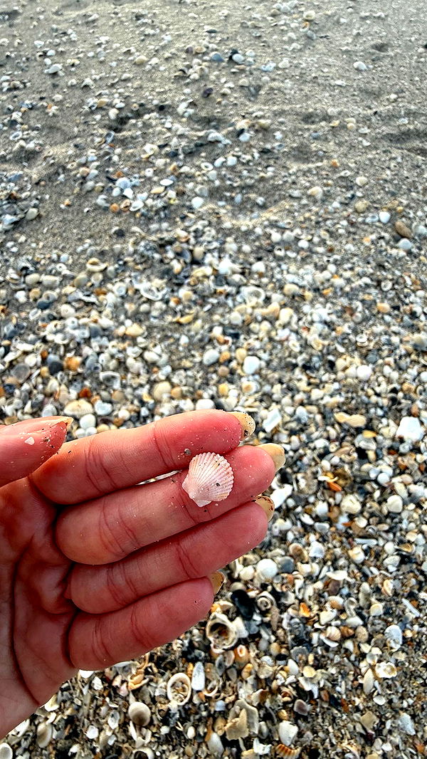 alisonbowles image ~ Altpins