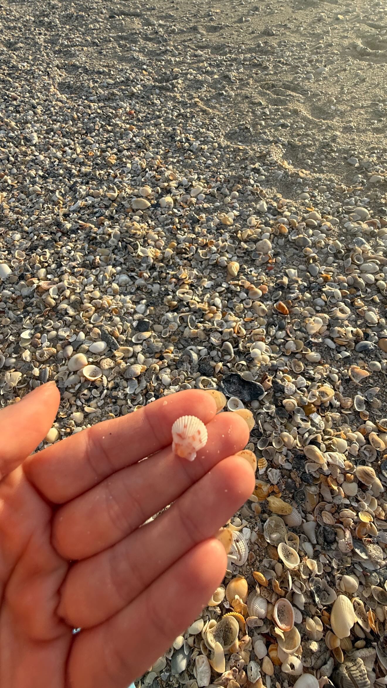 alisonbowles snapchat image archive image