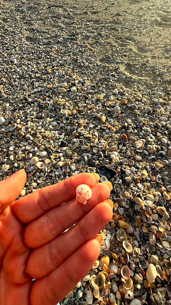 alisonbowles image ~ Altpins