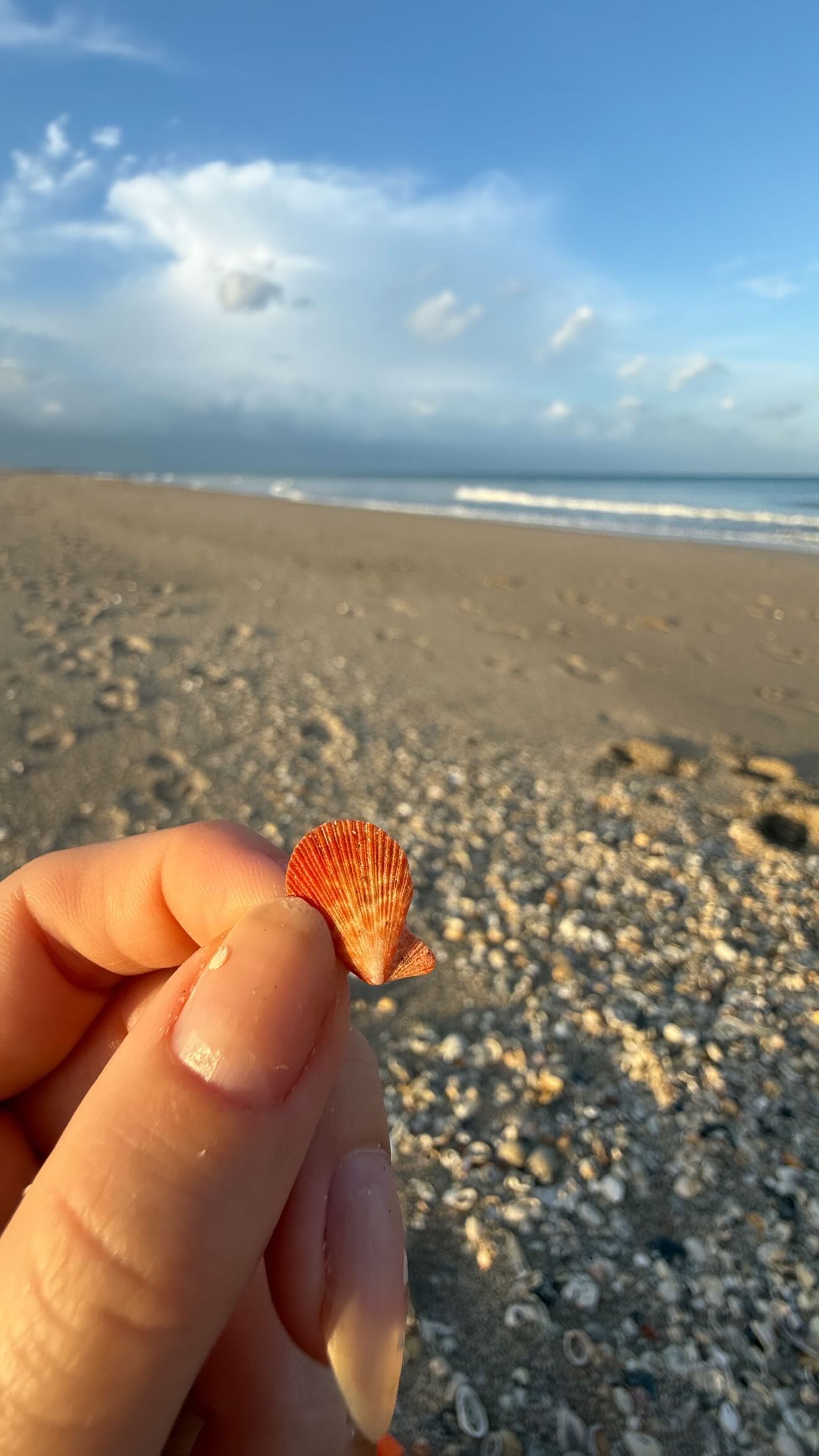 alisonbowles snapchat image archive image