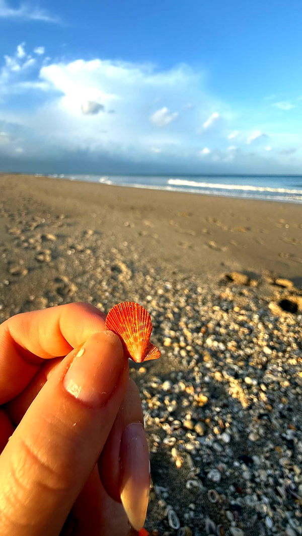 alisonbowles image ~ Altpins