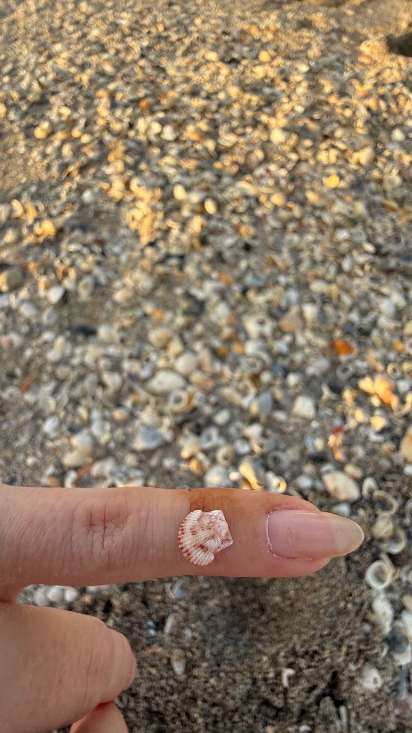 alisonbowles snapchat image archive image