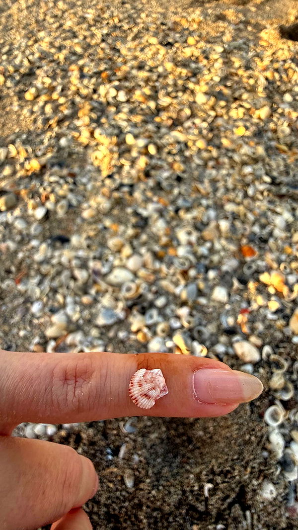 alisonbowles image ~ Altpins