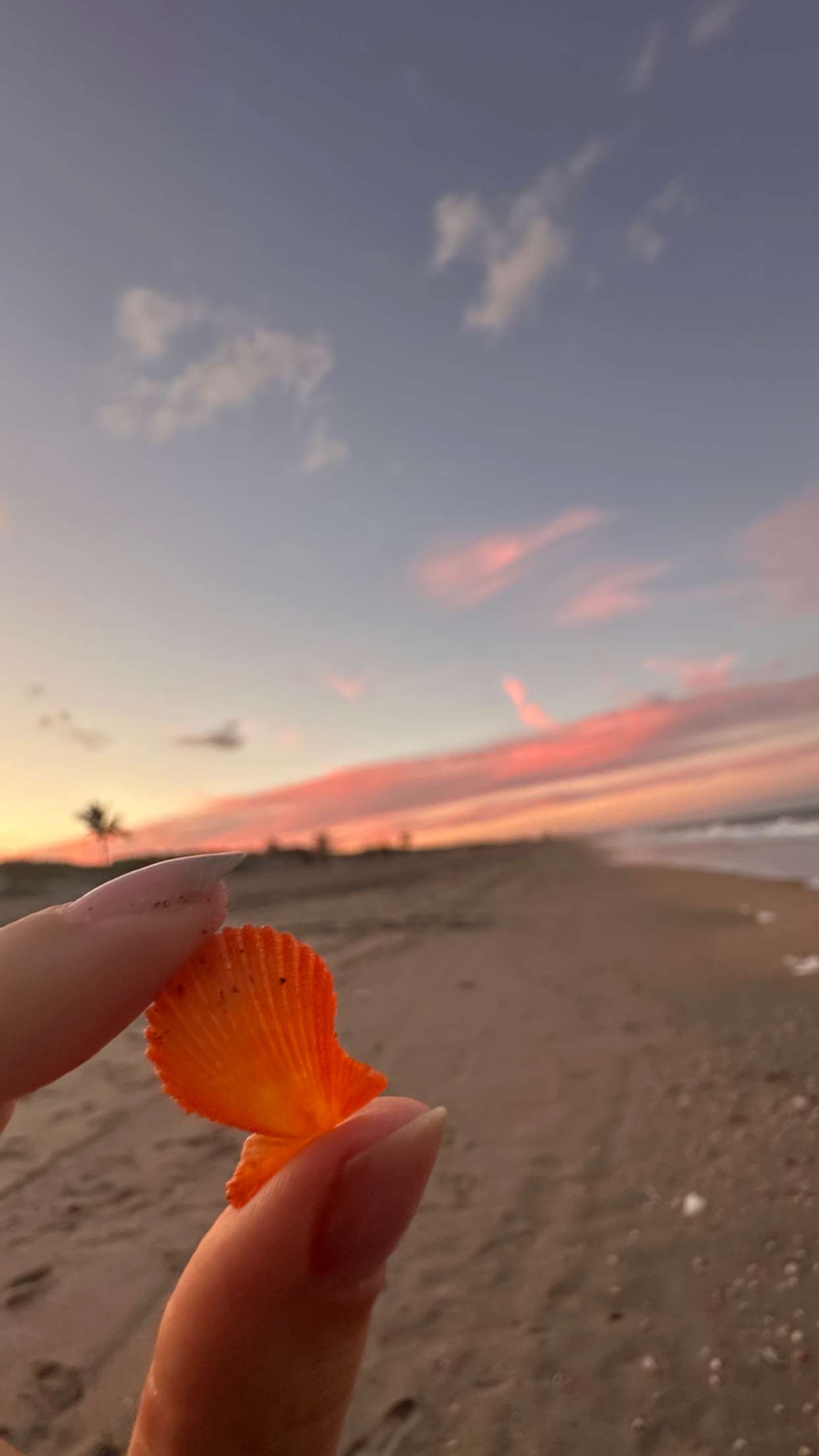 alisonbowles snapchat image archive image