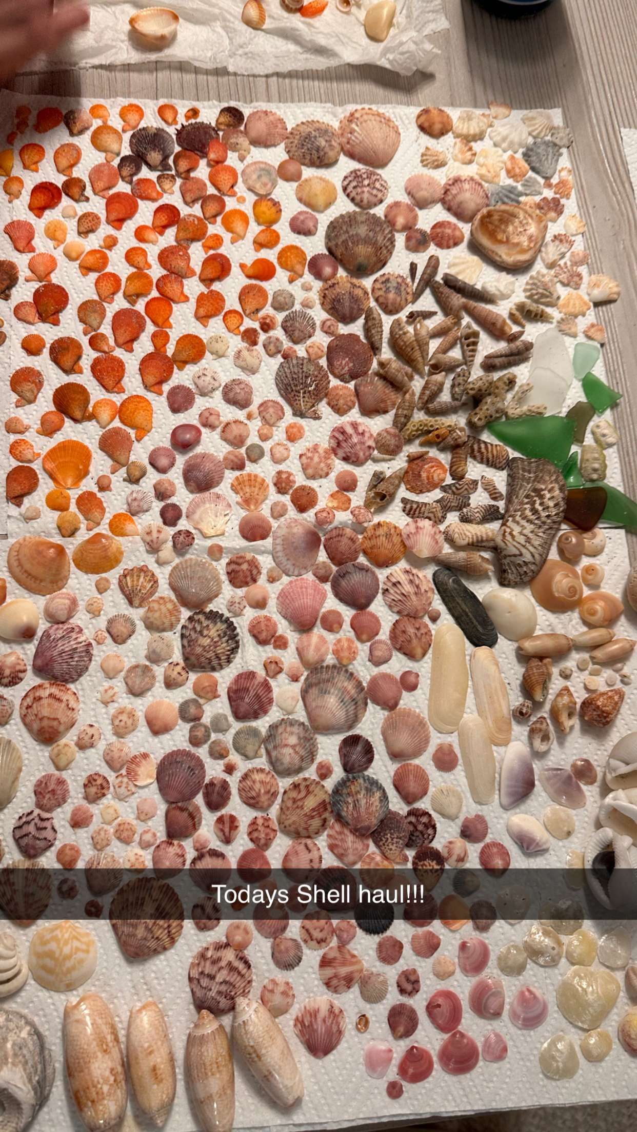 alisonbowles snapchat image archive image