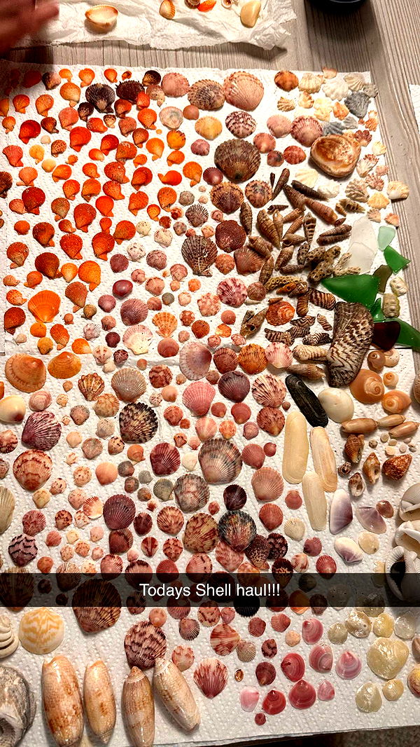 alisonbowles image ~ Altpins