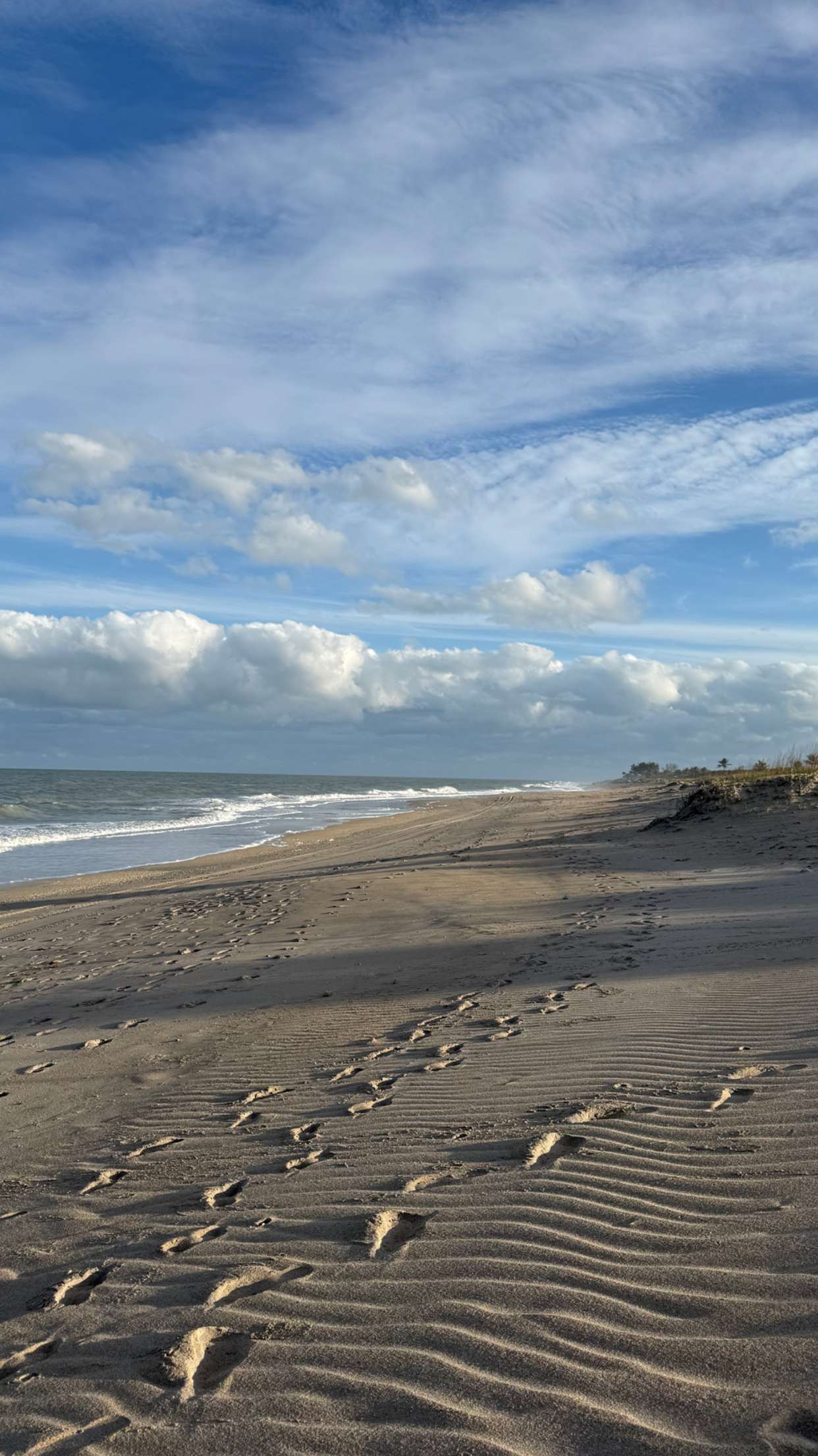 alisonbowles snapchat image archive image