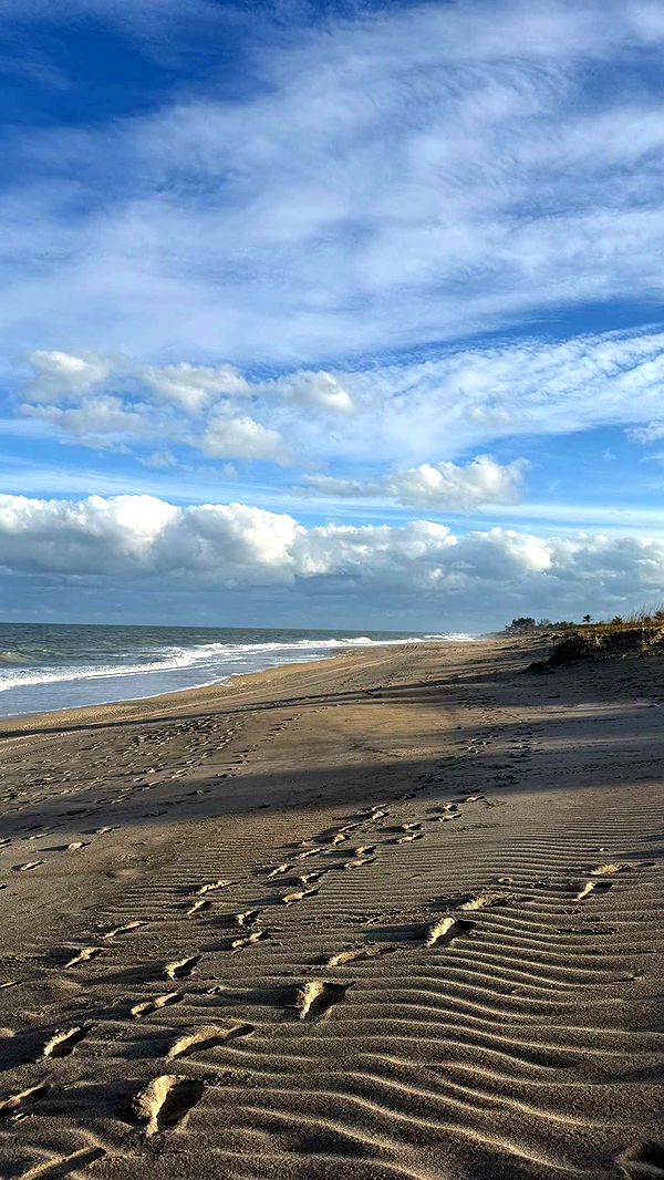 alisonbowles image ~ Altpins