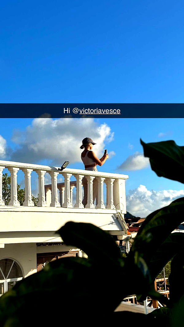 alisonbowles image ~ Altpins