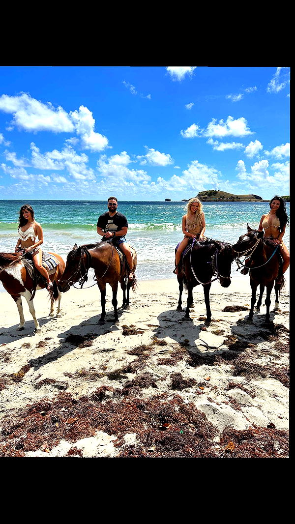 alisonbowles image ~ Altpins