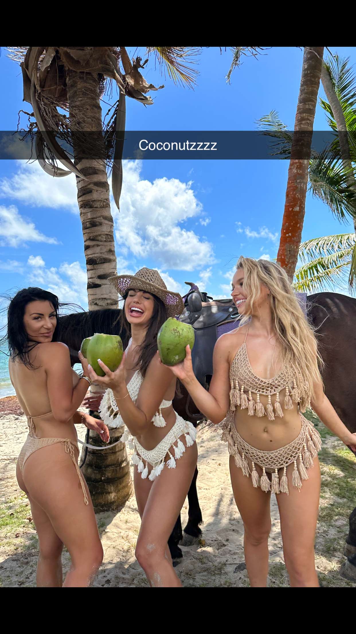 alisonbowles snapchat image archive image