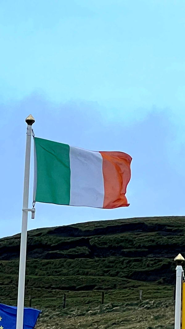 alisonbowles image ~ Altpins