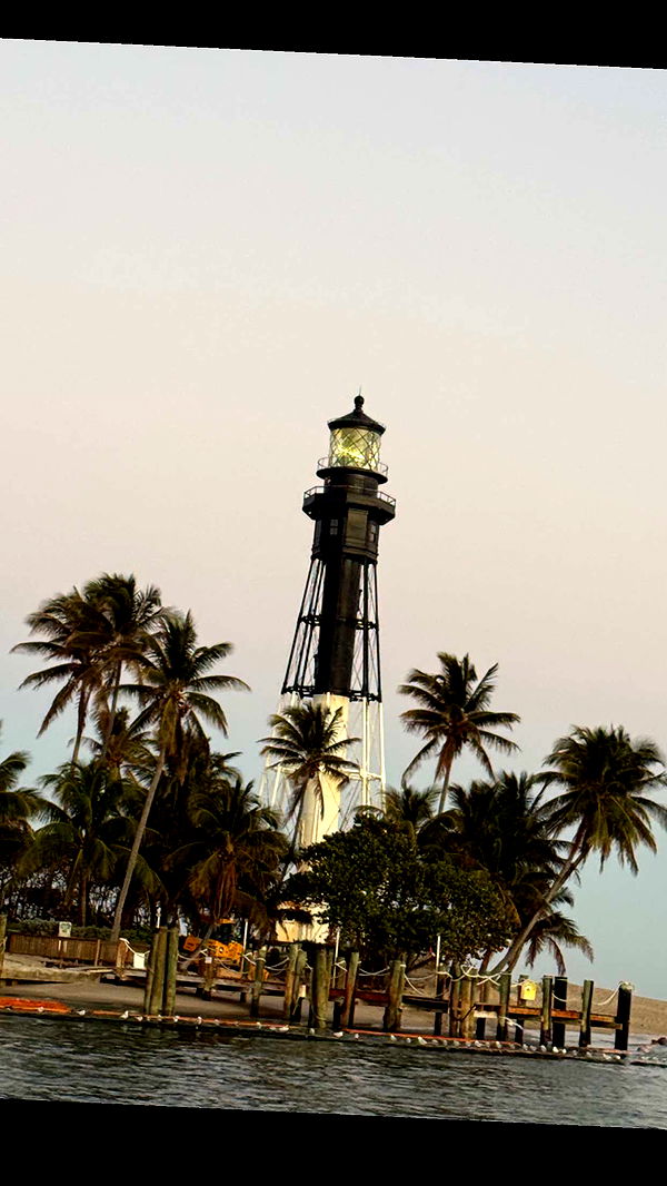 alisonbowles image ~ Altpins