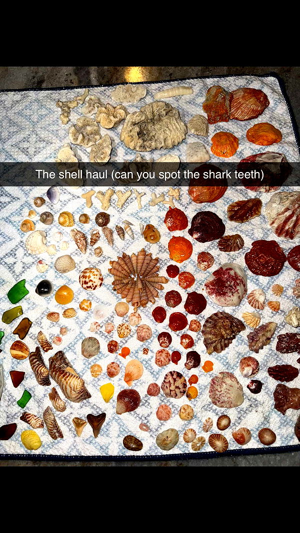 alisonbowles image ~ Altpins