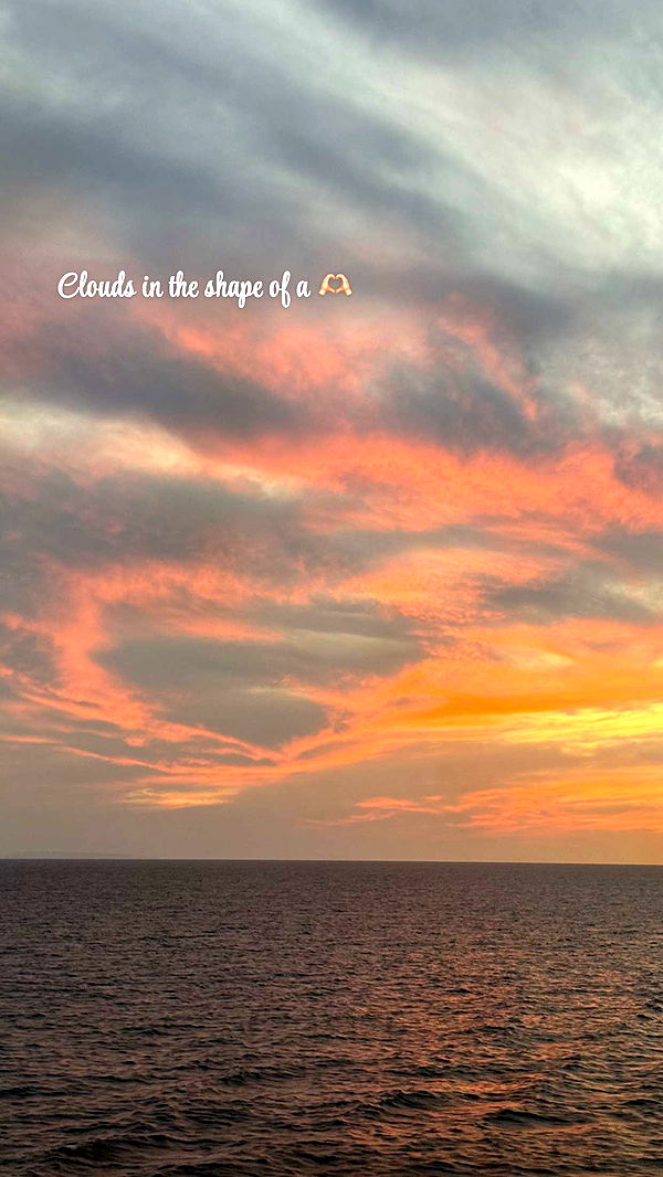 alisonbowles image ~ Altpins