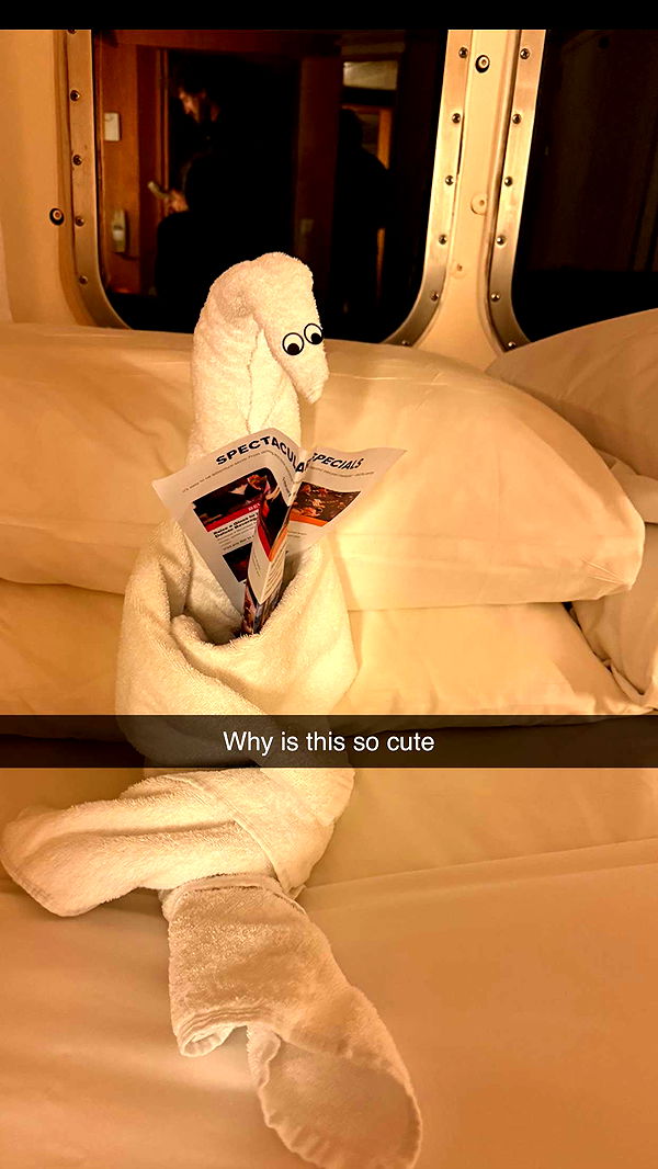 alisonbowles image ~ Altpins