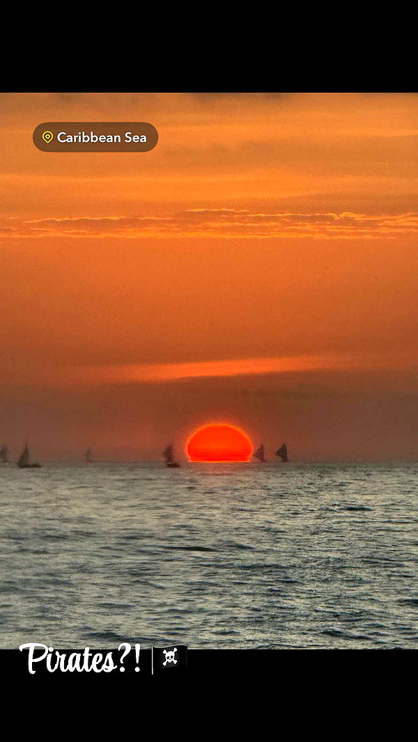 alisonbowles image ~ Altpins