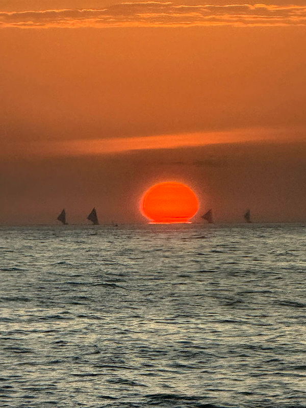 alisonbowles image ~ Altpins