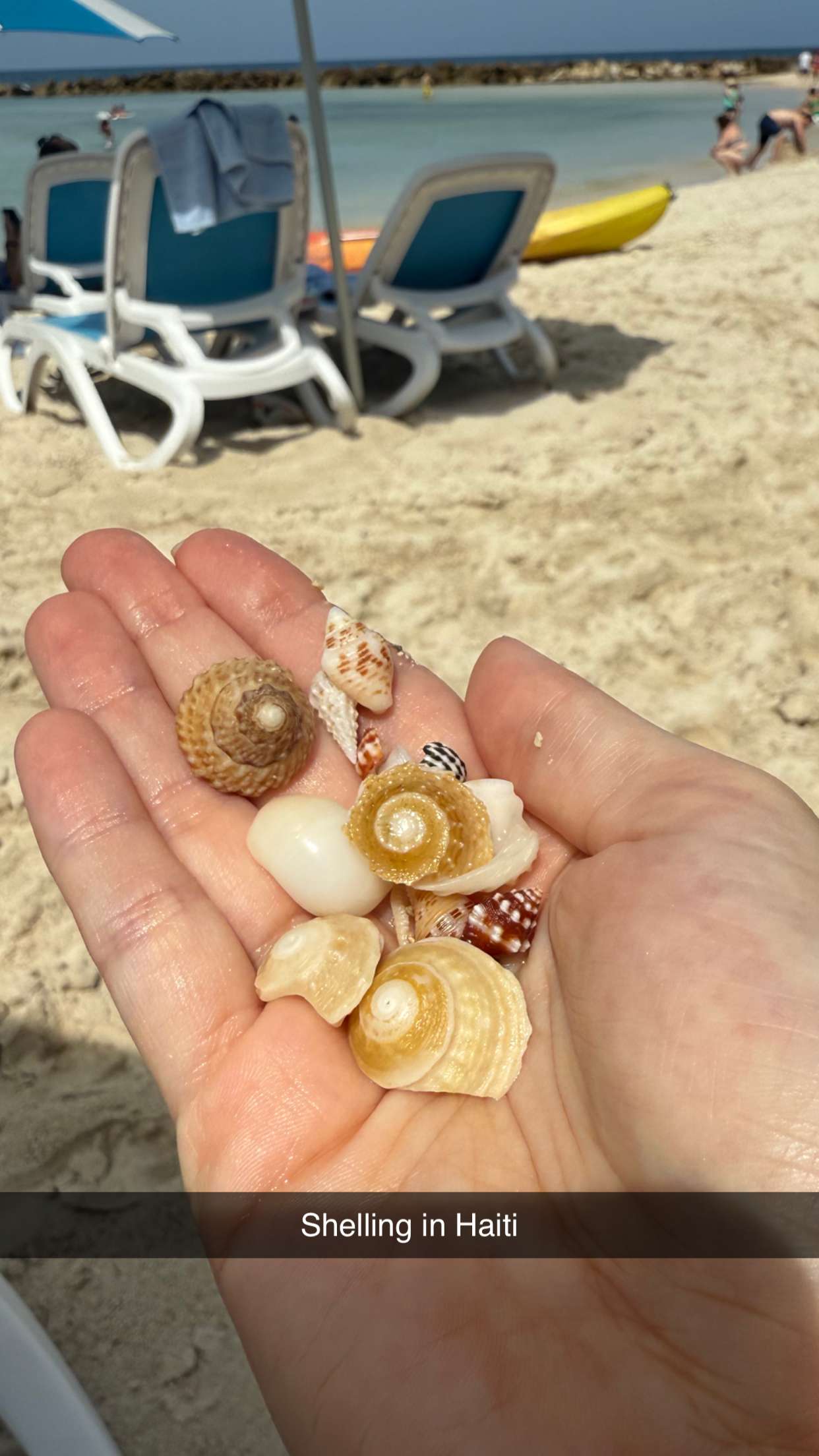 alisonbowles snapchat image archive image