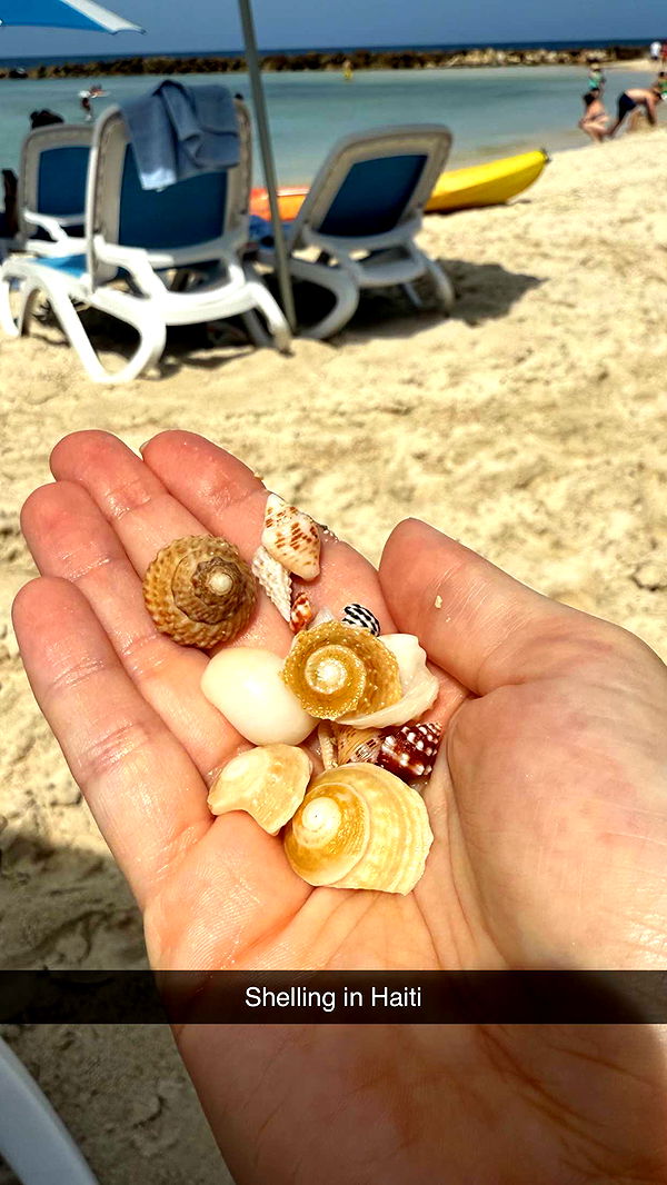 alisonbowles image ~ Altpins