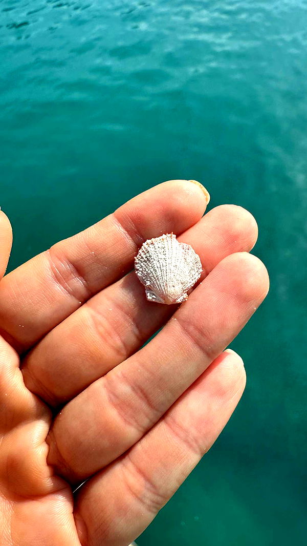 alisonbowles image ~ Altpins