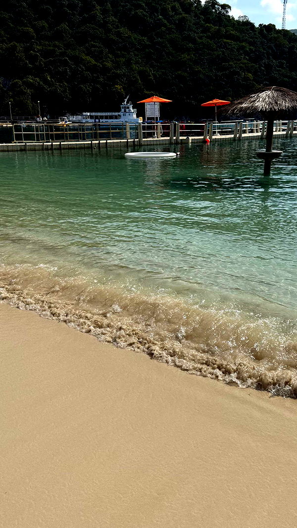 alisonbowles image ~ Altpins