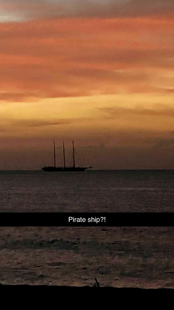 alisonbowles image ~ Altpins