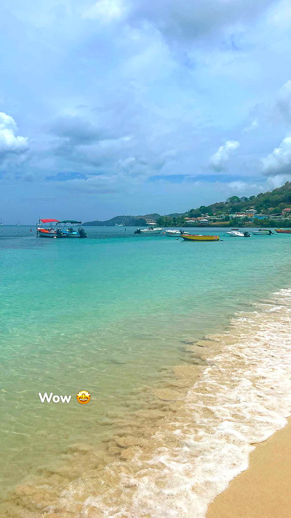 alisonbowles image ~ Altpins