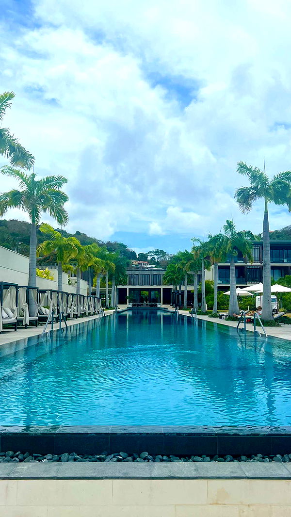 alisonbowles image ~ Altpins